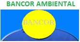 AMBIENTAL